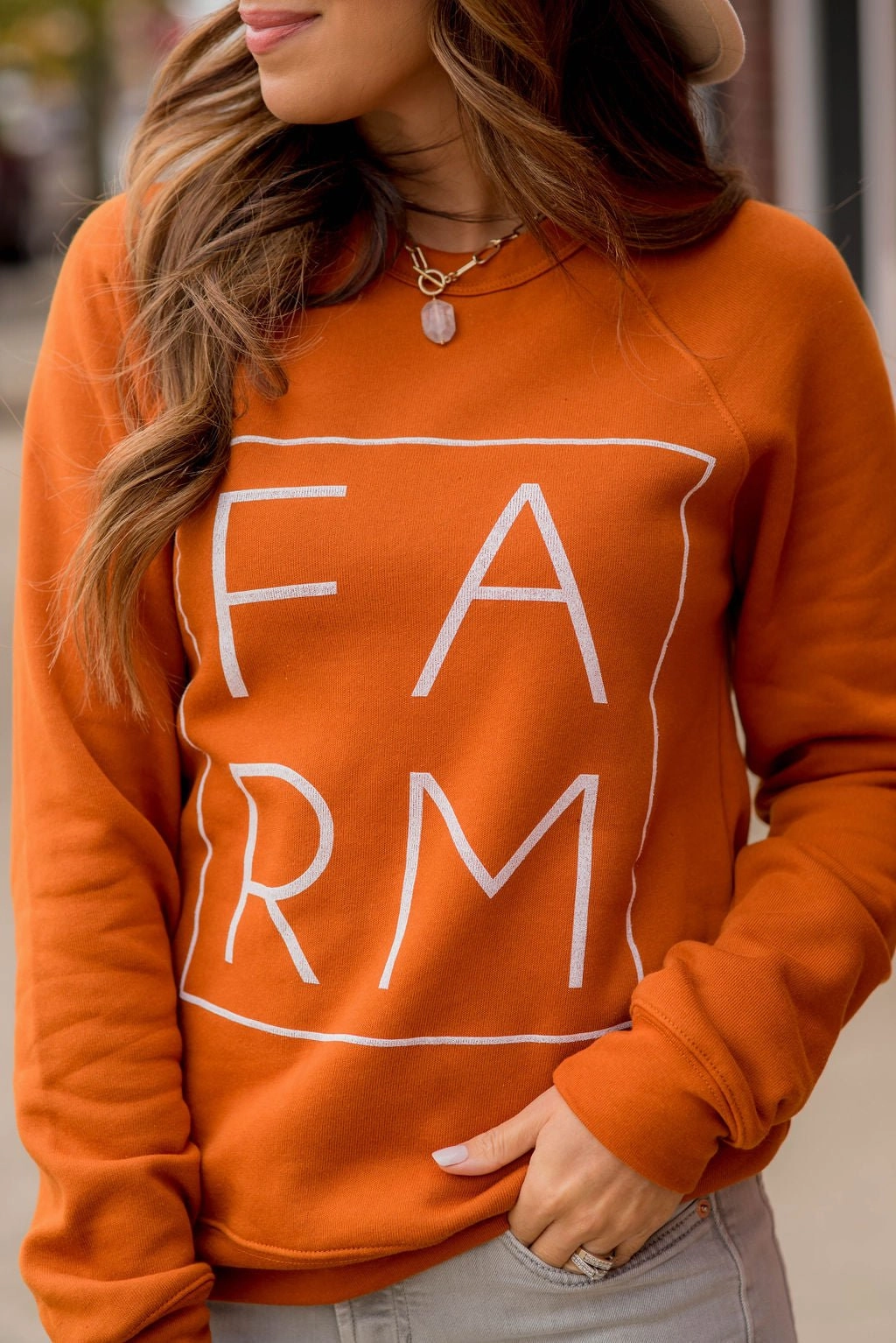 Everyday Hoodie Farm Blocked Graphic Crewneck